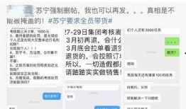 苏宁员工最新爆料,揭秘内部真相与变革动态