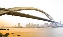 卢浦大桥爆料最新消息新闻,最新进展及现场情况揭秘