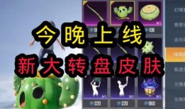 大转盘皮肤最新爆料皮肤,神秘皮肤生成背后的故事
