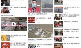 宁晋爆料新闻最新,揭秘事件背后惊人真相