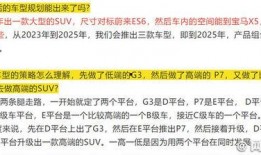p5最新爆料,揭秘游戏背后的神秘故事与未来展望