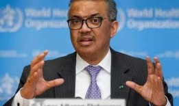 最新爆料谭德塞,揭秘全球疫情背后的真相与挑战”