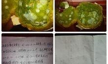 星动元祖最新爆料,揭秘明星幕后故事与精彩瞬间