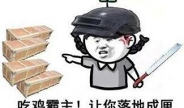 吃鸡最新大爆料,全新玩法与内容震撼来袭！