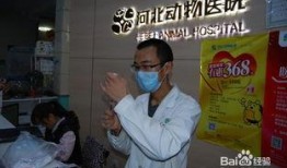 石家庄医院爆料事件最新,事件真相与医疗伦理争议再掀波澜