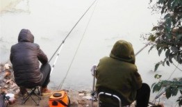 钓鱼爆料视频最新版本,惊心动魄的捕鱼技巧与惊险瞬间